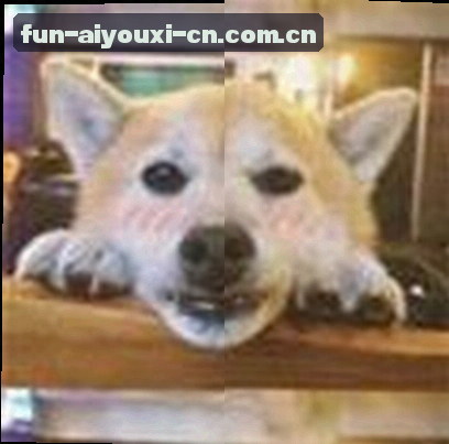 张哥